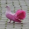 pinkpigeonsales